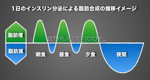 AthleteBody.jp インスリン分泌と脂肪