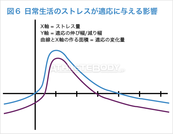 図６：日常生活のストレスが適応に与える影響 AthleteBody.jp