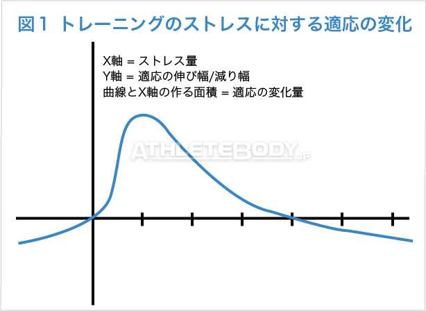 図１：トレーニングのストレスに対する適応の変化 AthleteBody.jp