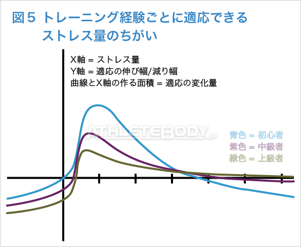 図５：トレーニング経験ごとに適応できるストレス量のちがい AthleteBody.jp