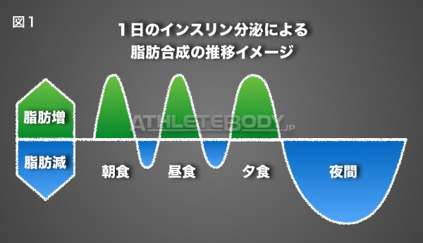図1 1日のインスリン分泌による脂肪合成の推移イメージ AthleteBody.jp