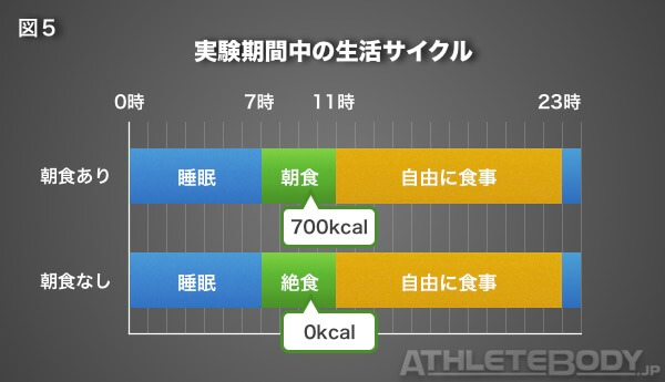 図5 実験期間中の生活サイクル AthleteBody.jp