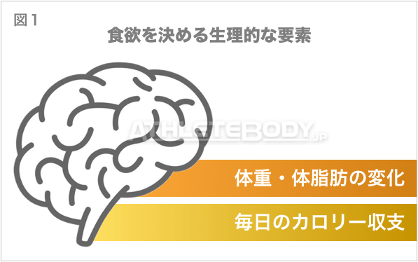図1 食欲を決める生理的な要素 AthleteBody.jp