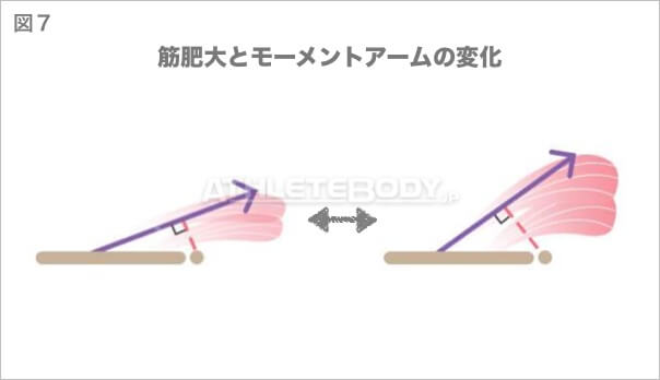 図7 筋肥大とモーメントアームの変化 AthleteBody.jp