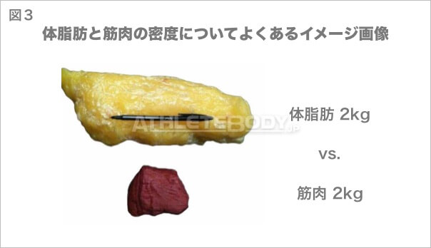図3 体脂肪と筋肉の密度についてよくあるイメージ画像 AthleteBody.jp