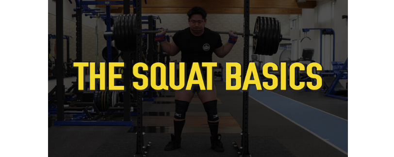 The Squat Basics - Buy Now